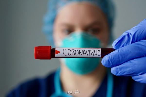 احیانا تا 6 ماه آینده پاندمی کووید-19 به اندمی تبدیل خواهد شد
