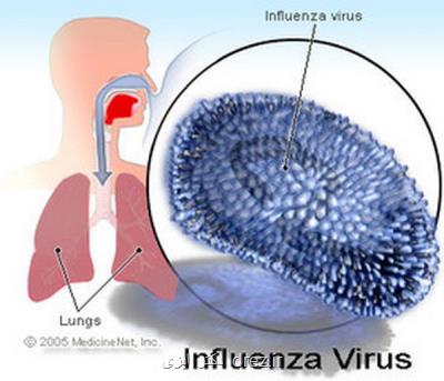 آنفلوآنزا هم مزمن می شود