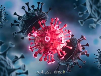 دلتا کروناویروس ریسک مرده زایی را زیاد می کند