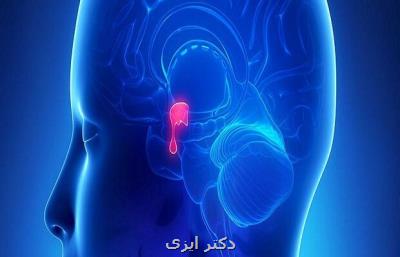 تأثیر کروناویروس بر غده هیپوفیز و بروز اختلال های متابولیکی