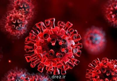 50 درصد بازماندگان کرونا درگیر سندرم کووید طولانی می شوند