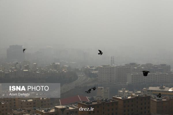 هوای تهران ناسالم برای همه گروه ها