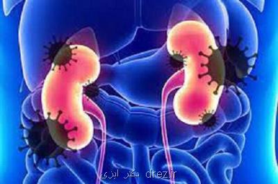 کووید 19 می تواند به بافت کلیه صدمه برساند