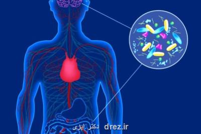 میکروبیوم های روده در مبتلاشدن به ام اس نقش دارند