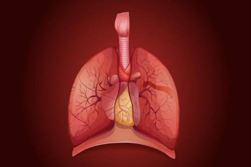 برداشتن غده تیموس پیش زمینه مبتلاشدن به سرطان است