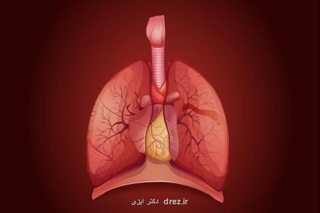 برداشتن غده تیموس پیش زمینه مبتلاشدن به سرطان است