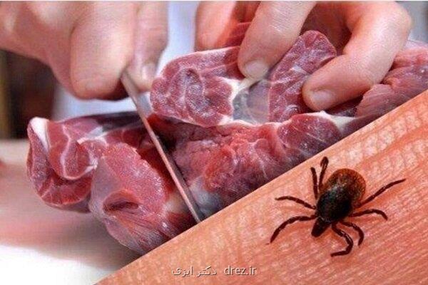 افزایش تب کنگو در افغانستان