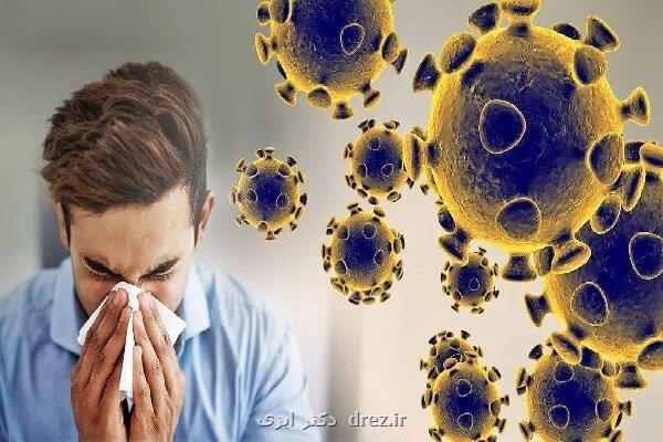 ظهور سویه جدید کووید۱۹ در بخشهایی از جهان
