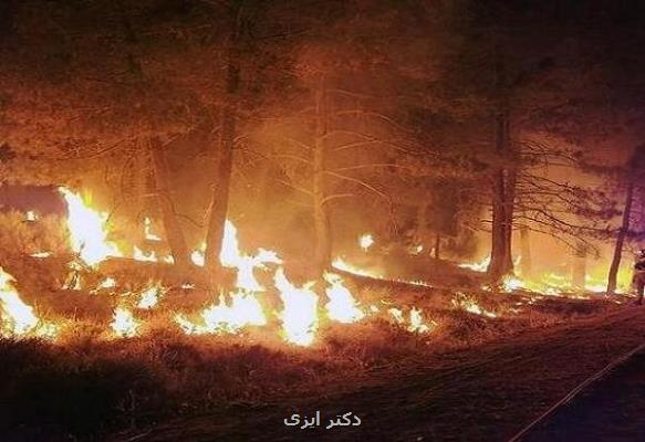 حریق های جنگلی خطر آنفولانزا و کووید19 را می افزایند