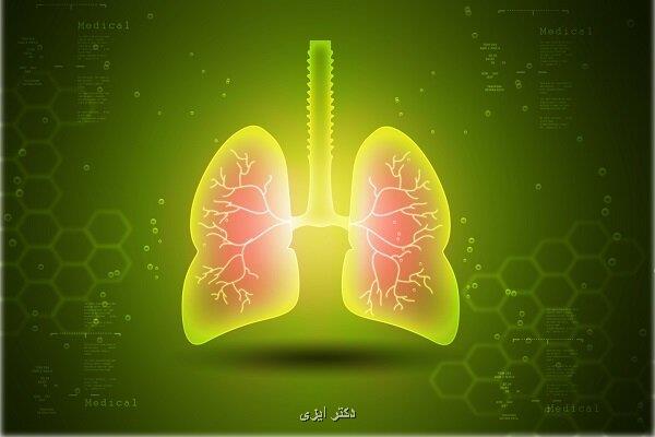 کپک خانگی می تواند موجب بیماری ریه شود