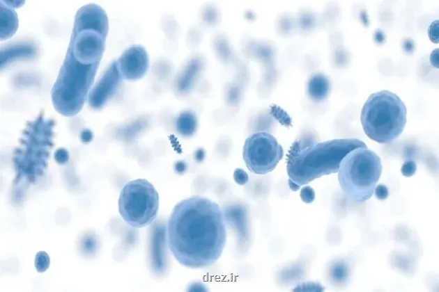 اعلام شعار و روزشمار هفته جهانی آگاهی از مقاومت میکروبی سال ۱۴۰۴