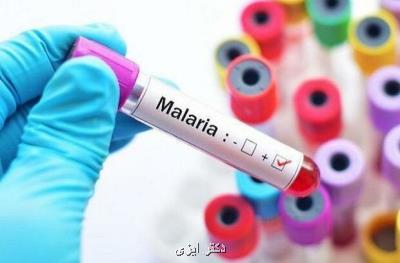درمان بیماری مالاریا با اسفنج دریایی