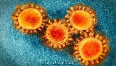 احتمال انتقال ویروس كووید ۱۹ از راه شیرمادر وجود ندارد