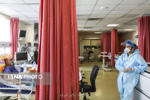۲۸۵ بیمار در بخش های كرونایی استان بوشهر بستری هستند