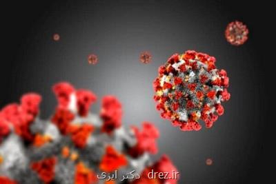 ایران در جنگ 21 روزه می تواند ویروس كرونا را شكست دهد