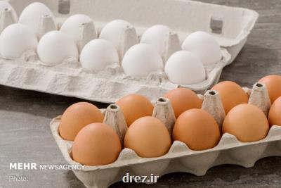 چگونه از آلودگی تخم مرغ جلوگیری نماییم